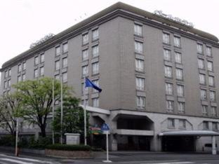 Pearl Hotel Mizonokuchi Kawasaki  Zimmer foto